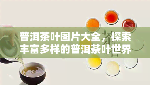 普洱茶叶图片大全，探索丰富多样的普洱茶叶世界：高清大图欣