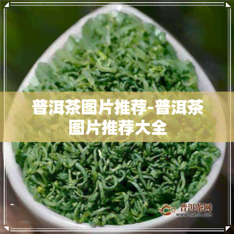 普洱茶图片推荐-普洱茶图片推荐大全