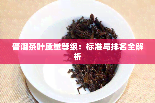 普洱茶叶质量等级：标准与排名全解析