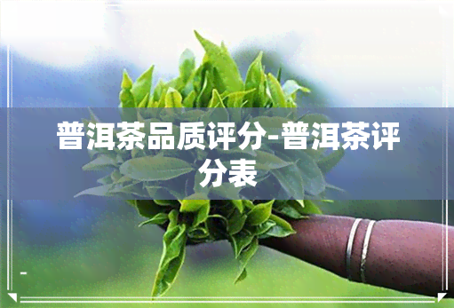 普洱茶品质评分-普洱茶评分表