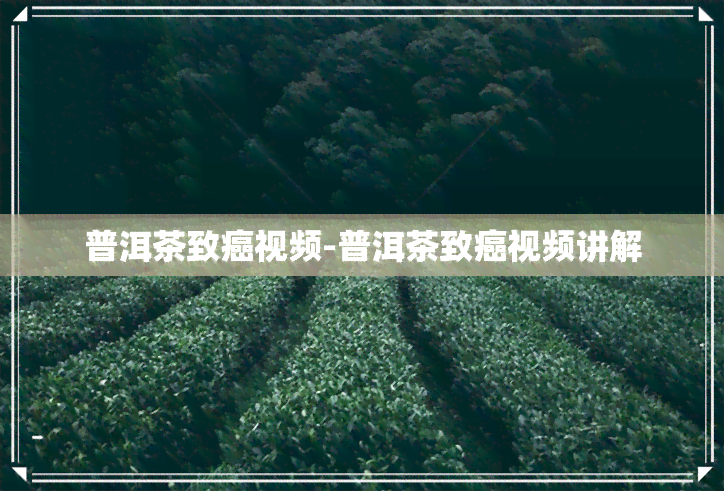 普洱茶致癌视频-普洱茶致癌视频讲解