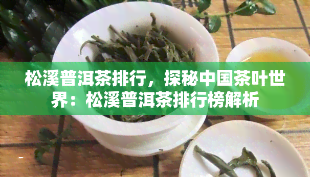 松溪普洱茶排行，探秘中国茶叶世界：松溪普洱茶排行榜解析