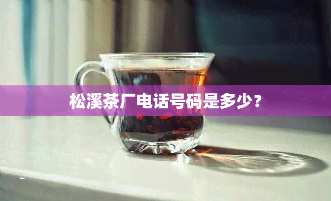 松溪茶厂电话号码是多少？