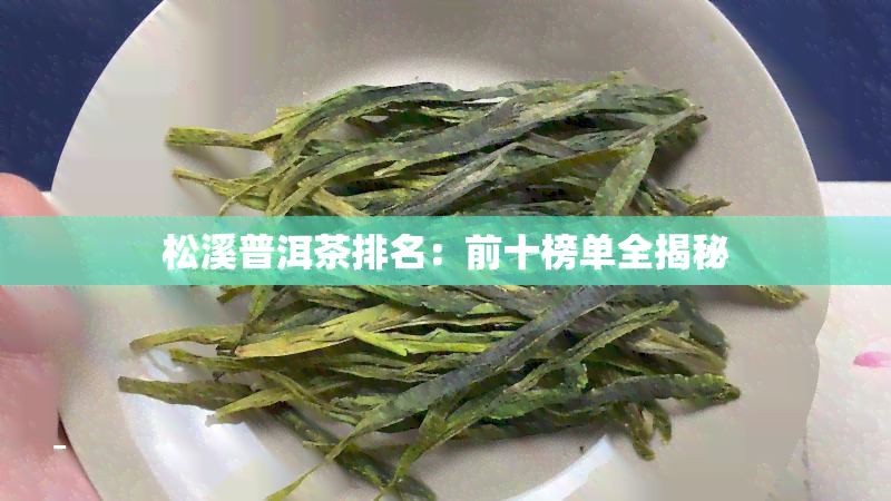 松溪普洱茶排名：前十榜单全揭秘