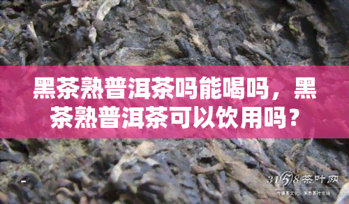 黑茶熟普洱茶吗能喝吗，黑茶熟普洱茶可以饮用吗？