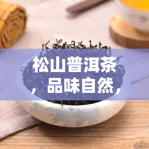 松山普洱茶，品味自然，体验香醇：松山普洱茶的魅力探索