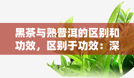 黑茶与熟普洱的区别和功效，区别于功效：深入了解黑茶与熟普洱的不同之处