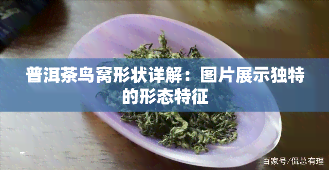 普洱茶鸟窝形状详解：图片展示独特的形态特征