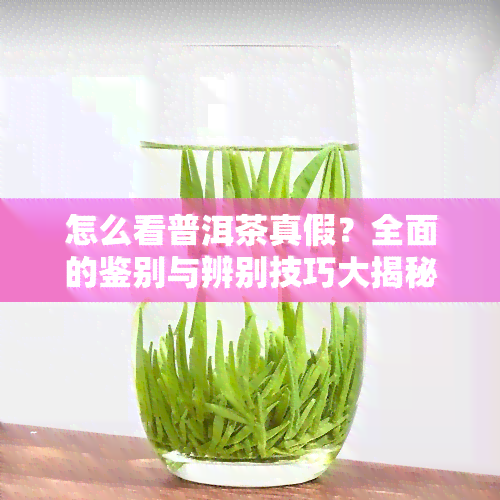 怎么看普洱茶真假？全面的鉴别与辨别技巧大揭秘！