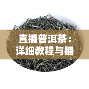 直播普洱茶：详细教程与播放方法