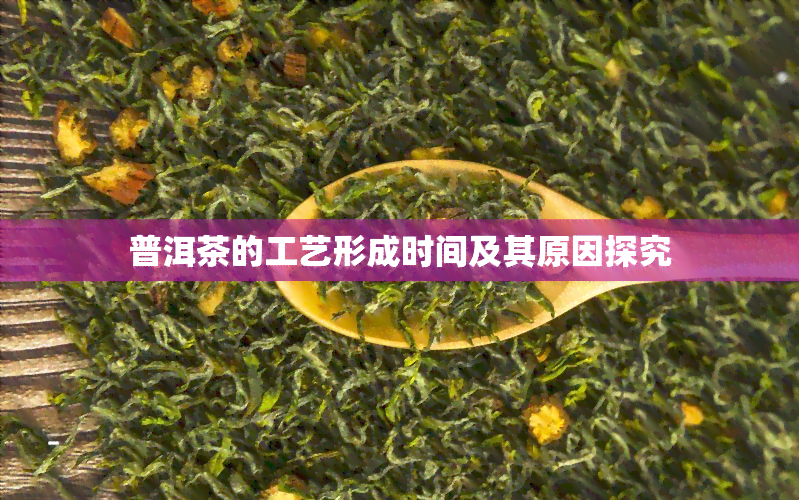 普洱茶的工艺形成时间及其原因探究