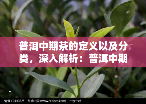 普洱中期茶的定义以及分类，深入解析：普洱中期茶的定义与分类