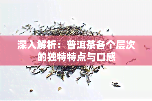 深入解析：普洱茶各个层次的独特特点与口感