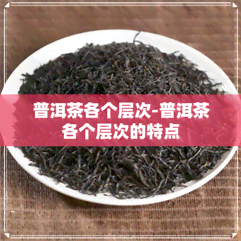 普洱茶各个层次-普洱茶各个层次的特点