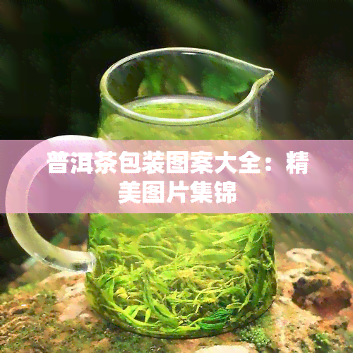 普洱茶包装图案大全：精美图片集锦