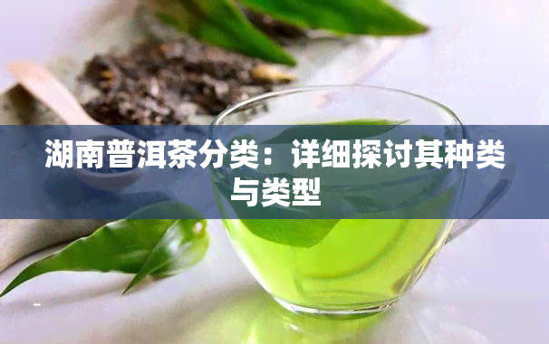 湖南普洱茶分类：详细探讨其种类与类型