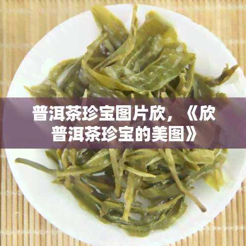 普洱茶珍宝图片欣，《欣普洱茶珍宝的美图》