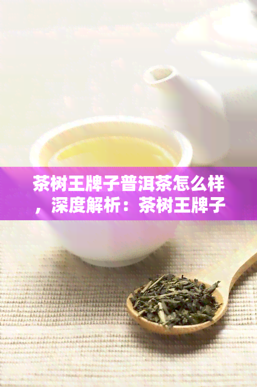 茶树王牌子普洱茶怎么样，深度解析：茶树王牌子普洱茶的品质与口感如何？