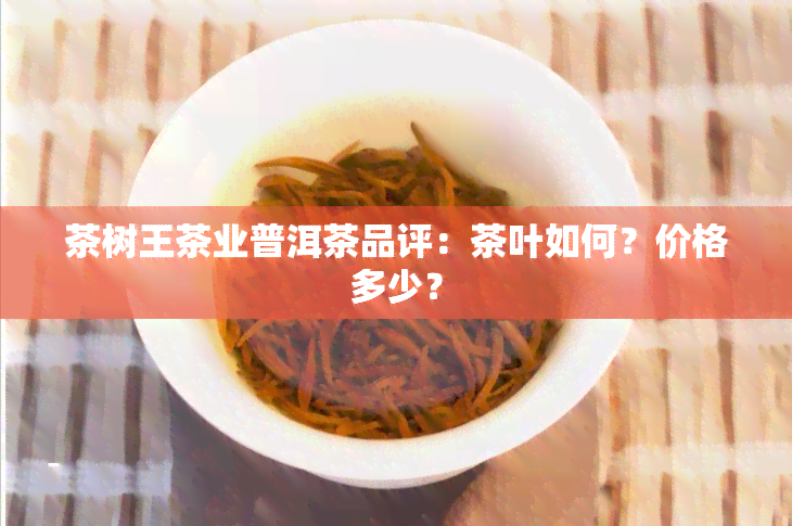 茶树王茶业普洱茶品评：茶叶如何？价格多少？