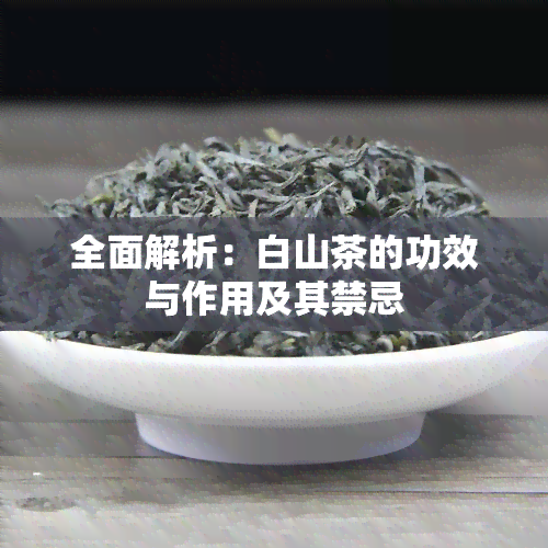 全面解析：白山茶的功效与作用及其禁忌