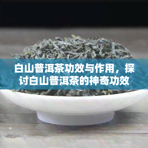 白山普洱茶功效与作用，探讨白山普洱茶的神奇功效与作用