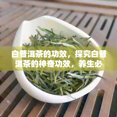 白普洱茶的功效，探究白普洱茶的神奇功效，养生必备！