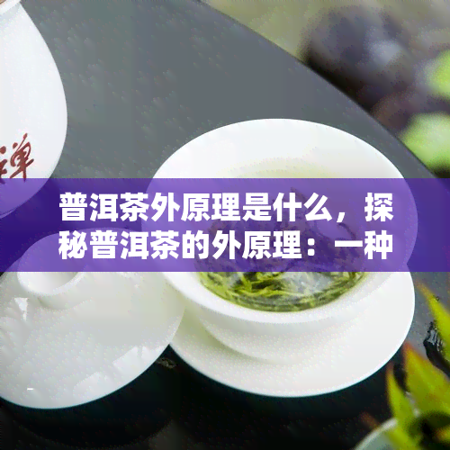 普洱茶外原理是什么，探秘普洱茶的外原理：一种独特的茶叶文化体验