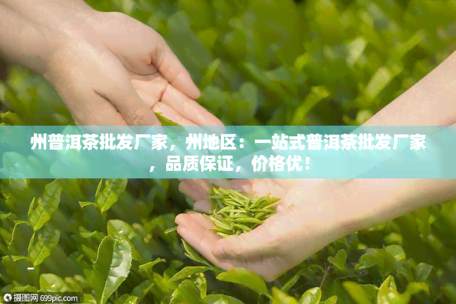 州普洱茶批发厂家，州地区：一站式普洱茶批发厂家，品质保证，价格优！