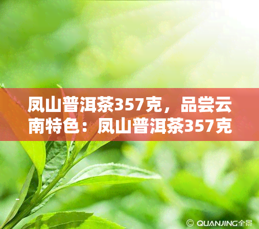 凤山普洱茶357克，品尝云南特色：凤山普洱茶357克，韵味无穷！