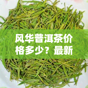 风华普洱茶价格多少？最新市场行情一斤价是多少？