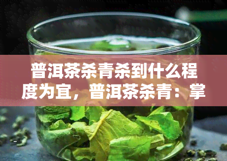 普洱茶杀青杀到什么程度为宜，普洱茶杀青：掌握适度，提升品质！