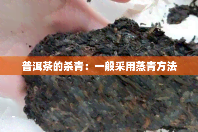 普洱茶的杀青：一般采用蒸青方法