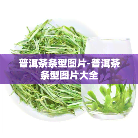 普洱茶条型图片-普洱茶条型图片大全