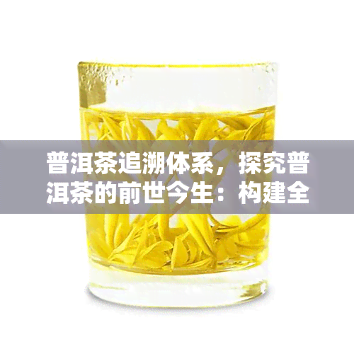 普洱茶追溯体系，探究普洱茶的前世今生：构建全面的追溯体系