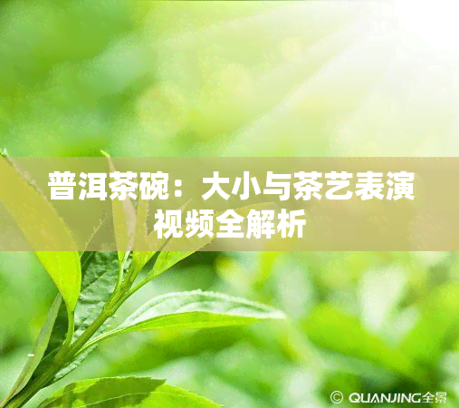 普洱茶碗：大小与茶艺表演视频全解析