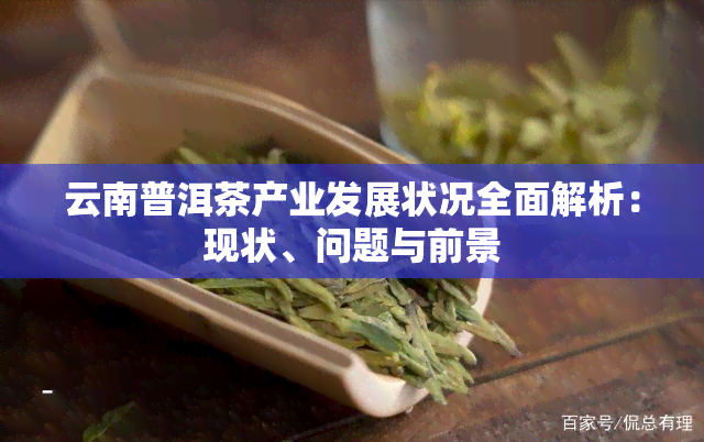 云南普洱茶产业发展状况全面解析：现状、问题与前景