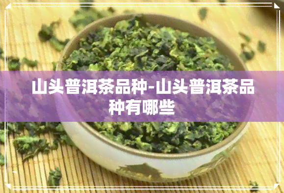 山头普洱茶品种-山头普洱茶品种有哪些