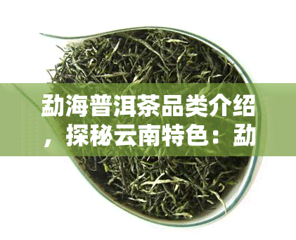 勐海普洱茶品类介绍，探秘云南特色：勐海普洱茶的种类与特点解析