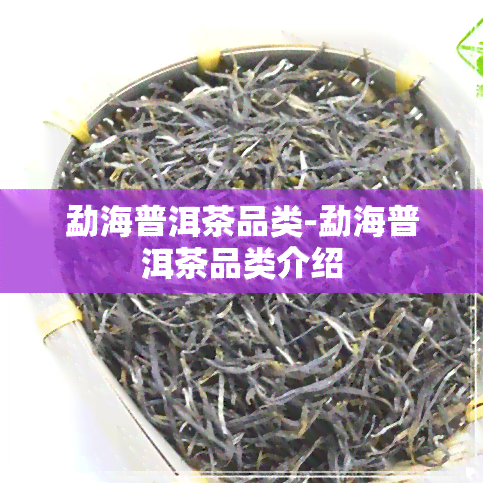 勐海普洱茶品类-勐海普洱茶品类介绍