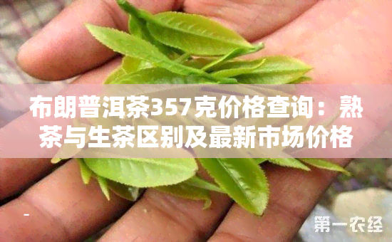 布朗普洱茶357克价格查询：熟茶与生茶区别及最新市场价格