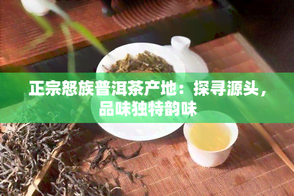 正宗怒族普洱茶产地：探寻源头，品味独特韵味