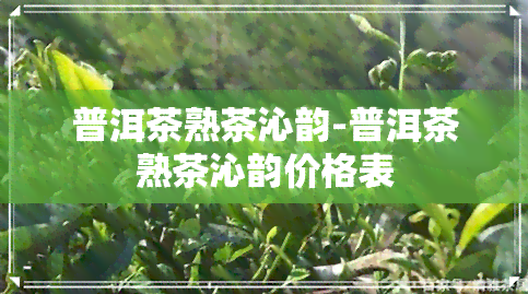 普洱茶熟茶沁韵-普洱茶熟茶沁韵价格表