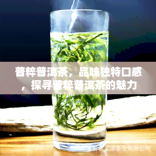 普粹普洱茶，品味独特口感，探寻普粹普洱茶的魅力