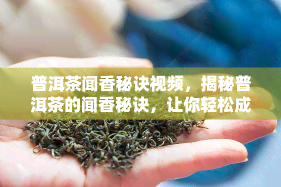 普洱茶闻香秘诀视频，揭秘普洱茶的闻香秘诀，让你轻松成为品茶高手！