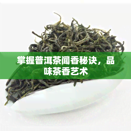 掌握普洱茶闻香秘诀，品味茶香艺术