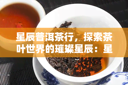 星辰普洱茶行，探索茶叶世界的璀璨星辰：星辰普洱茶行