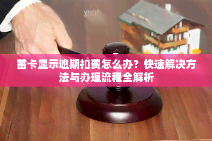 蓄卡显示逾期扣费怎么办？快速解决方法与办理流程全解析