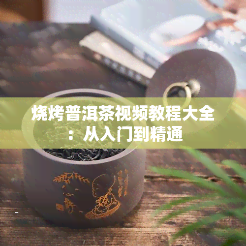 烧烤普洱茶视频教程大全：从入门到精通