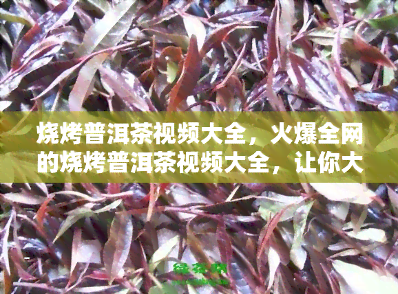 烧烤普洱茶视频大全，火爆全网的烧烤普洱茶视频大全，让你大饱眼福！