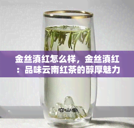 金丝滇红怎么样，金丝滇红：品味云南红茶的醇厚魅力